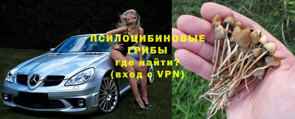 дмт Саяногорск