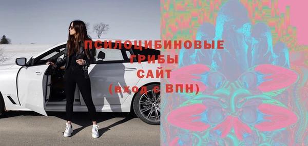 мдпв Семилуки